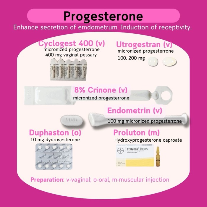 자궁내막 준비 및 지원용 프로게스테론 — Cyclogest, Utrogestran, Endometrin, Crinone, Duphaston, Proluton